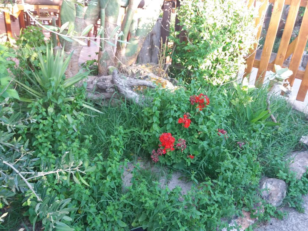 S'Arriali Ranch Hostal Iglesias Exterior foto